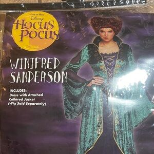 Disney Hocus Pocus Winifred Sanderson Kids Costume - Teal and Gold